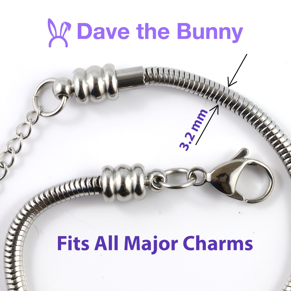 Ladybug Charm Bracelet with Stainless Steel Snake Chain