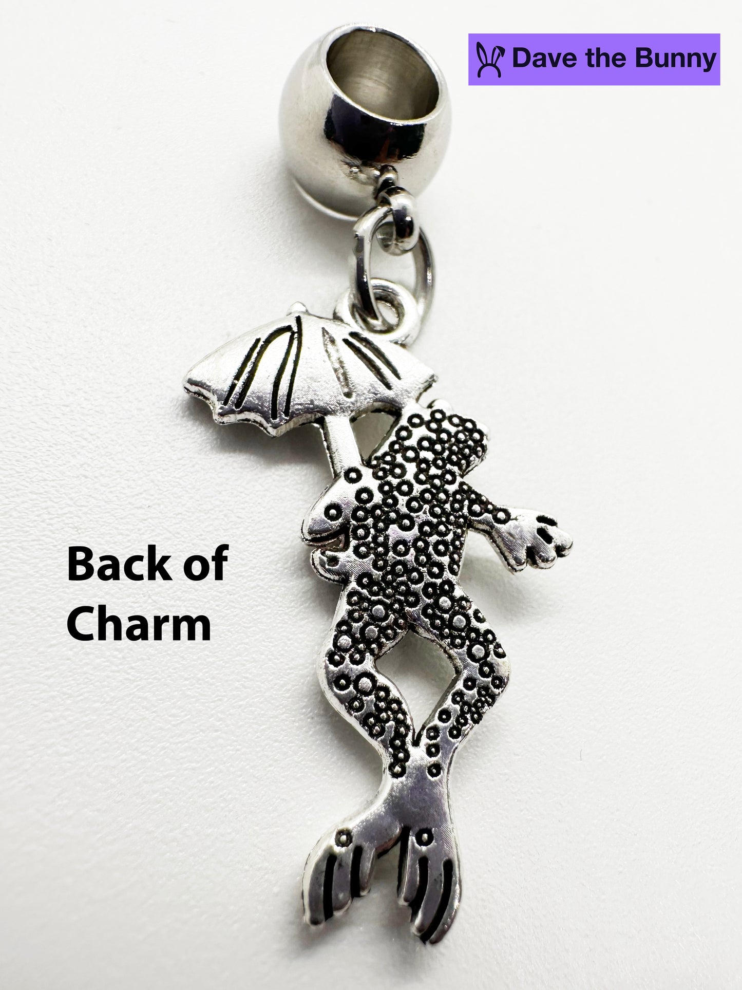 Frog Necklaces for Women - Frog Jewelry for Women and Men Stainless Steel Snake Chain Necklace with Metal Alloy Frog Charm - Elegant Frog Decor, Ideal for Frog Stuff Collectors and Frog Birthday Decorations
