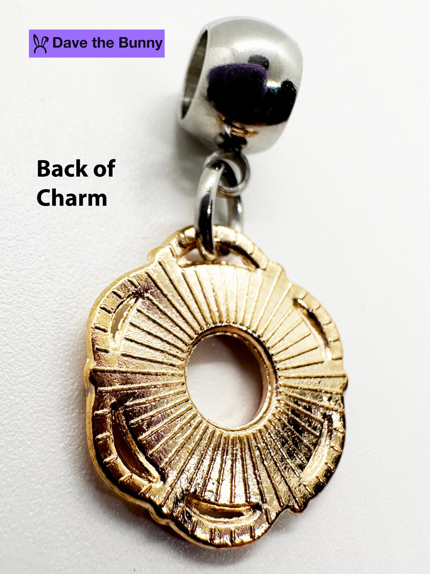 Life Saver Necklace (Red) - Stainless Steel Snake Chain Necklace with Metal Alloy Life Saver, Life Preserver, and Life Guard Charm - Durable and Elegant Jewelry for Everyday Wear