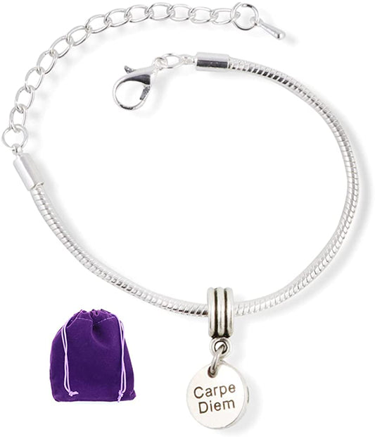 Carpe Diem ( on small circle ) Snake Chain Charm Bracelet Inspirational Gifts for Women and Men or Great Teacher Gifts and Best Friend Bracelets for 2 as Motivational Gifts and Bracelets for Women