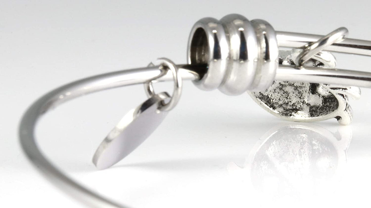 Lady Bug Bracelet for Women | Ladybugs Jewelry Hypoallergenic Stainless Steel Bangle for Sensitive Skin Great Lady Bug Bracelets and Ladybug Things for Women and Ladybug Charm Bracelet for Women