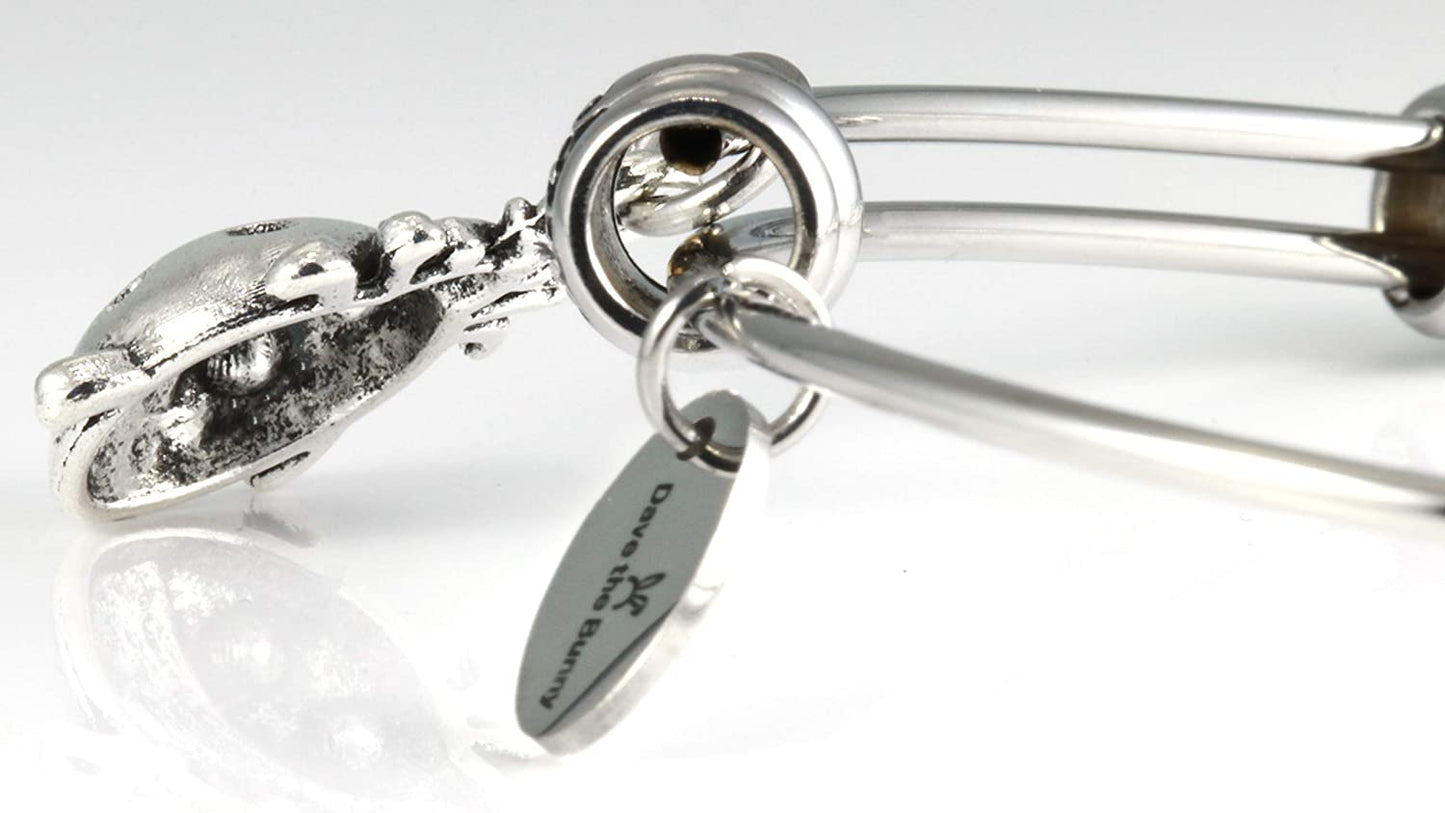 Lady Bug Bracelet for Women | Ladybugs Jewelry Hypoallergenic Stainless Steel Bangle for Sensitive Skin Great Lady Bug Bracelets and Ladybug Things for Women and Ladybug Charm Bracelet for Women