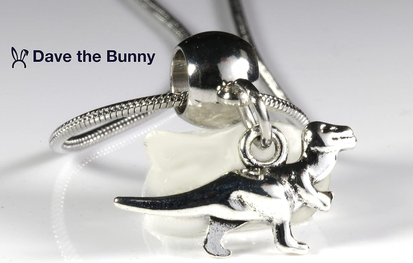 Trex Dinosaur Necklace for Women - 100% Stainless Steel Chain, Unique and Fun Necklaces for Adults, Perfect Dinosaur Gifts for Men and Women who Love Cute Dinosaur Stuff and Trex Accessories