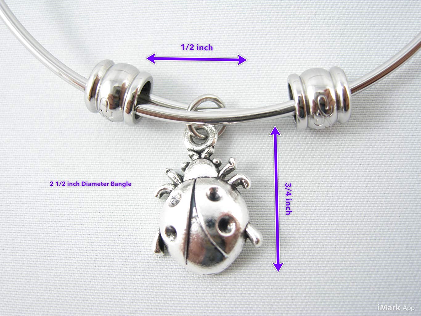 Lady Bug Bracelet for Women | Ladybugs Jewelry Hypoallergenic Stainless Steel Bangle for Sensitive Skin Great Lady Bug Bracelets and Ladybug Things for Women and Ladybug Charm Bracelet for Women