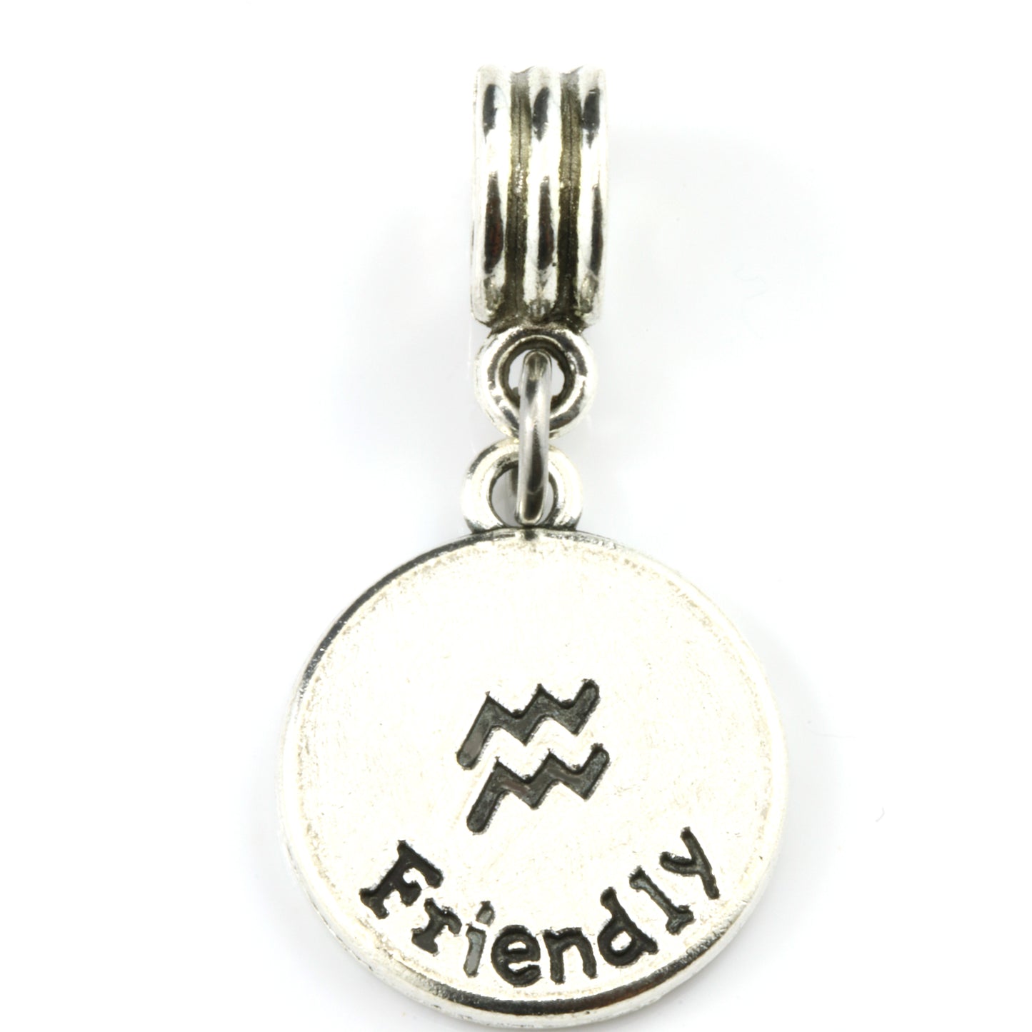 Aquarius Zodiac Charm