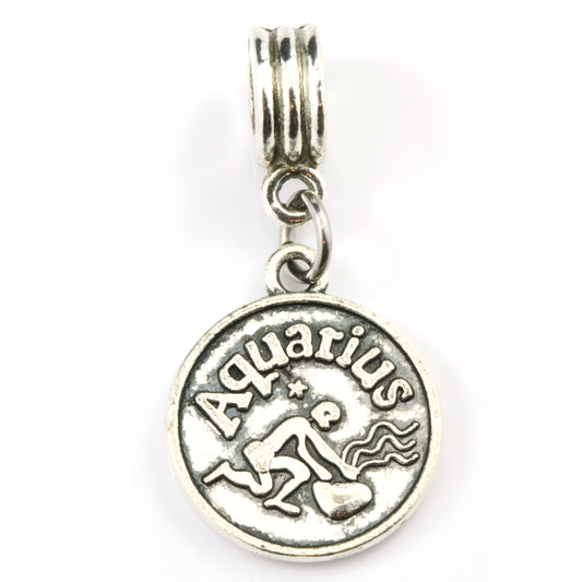 Aquarius Zodiac Charm