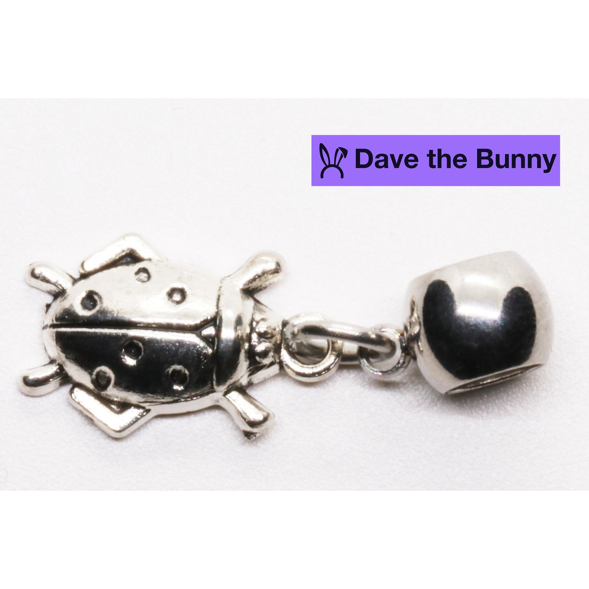 Ladybug Charm Necklace with Stainless Steel Snake Chain