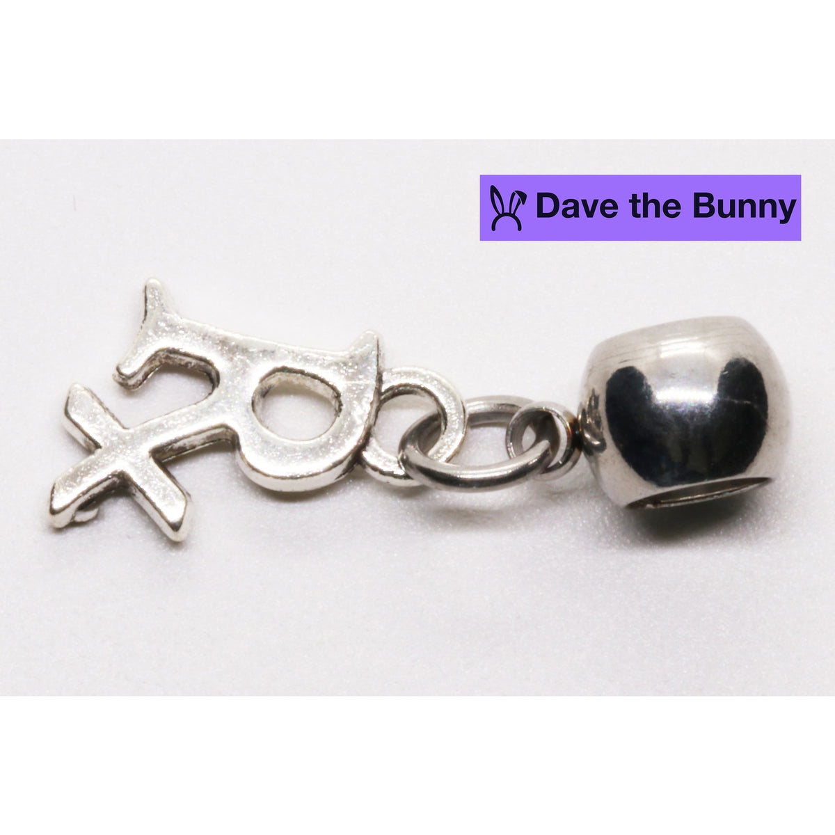 Rx Charm with Stainless Steel Connector