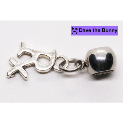 Rx Charm with Stainless Steel Connector