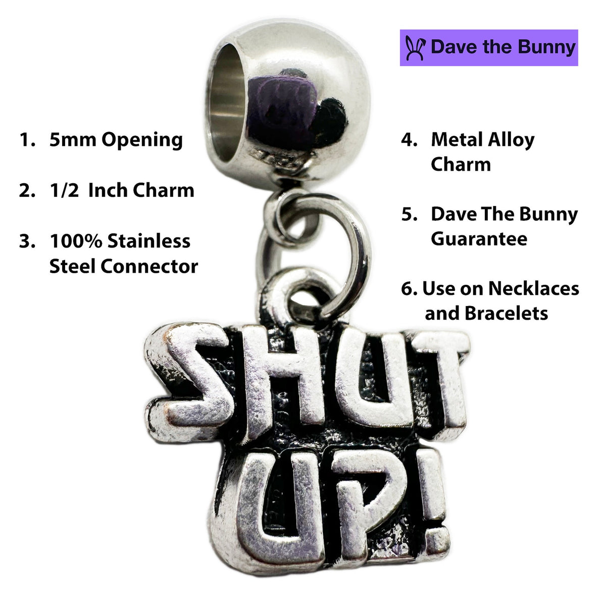 Shut Up Rude Saying Charm Necklace with Stainless Steel Snake Chain