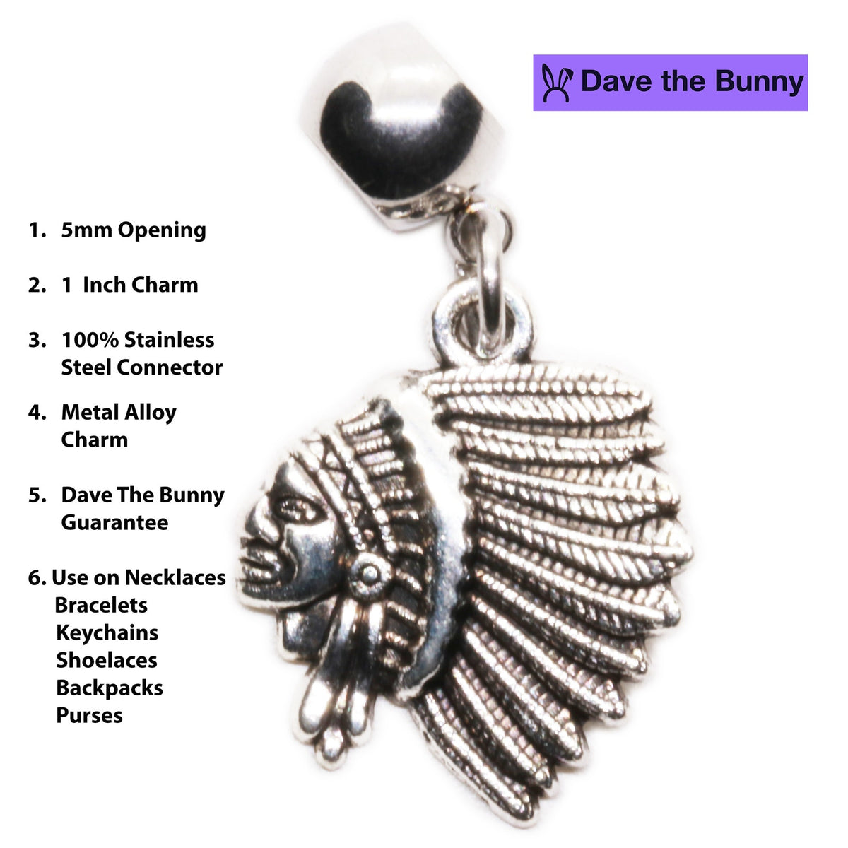 Feathered Headdress Charm Necklace with Stainless Steel Snake Chain