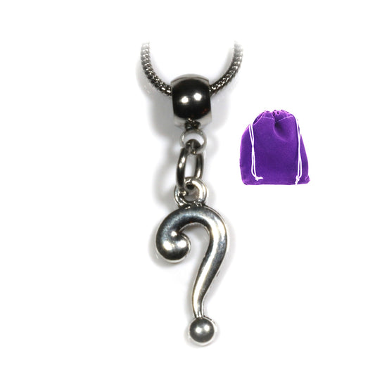 Question Mark Charm Necklace with Stainless Steel Snake Chain