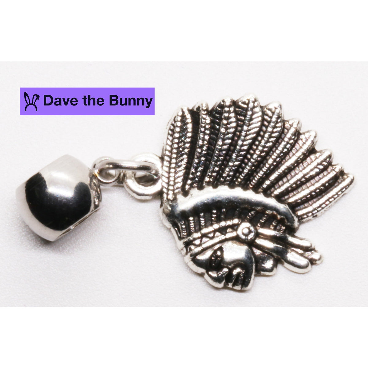 Feathered Headdress Charm Necklace with Stainless Steel Snake Chain