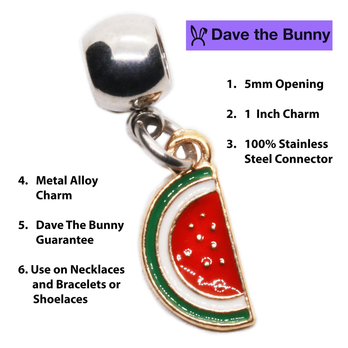 Watermelon Slice Charm Necklace with Stainless Steel Snake Chain