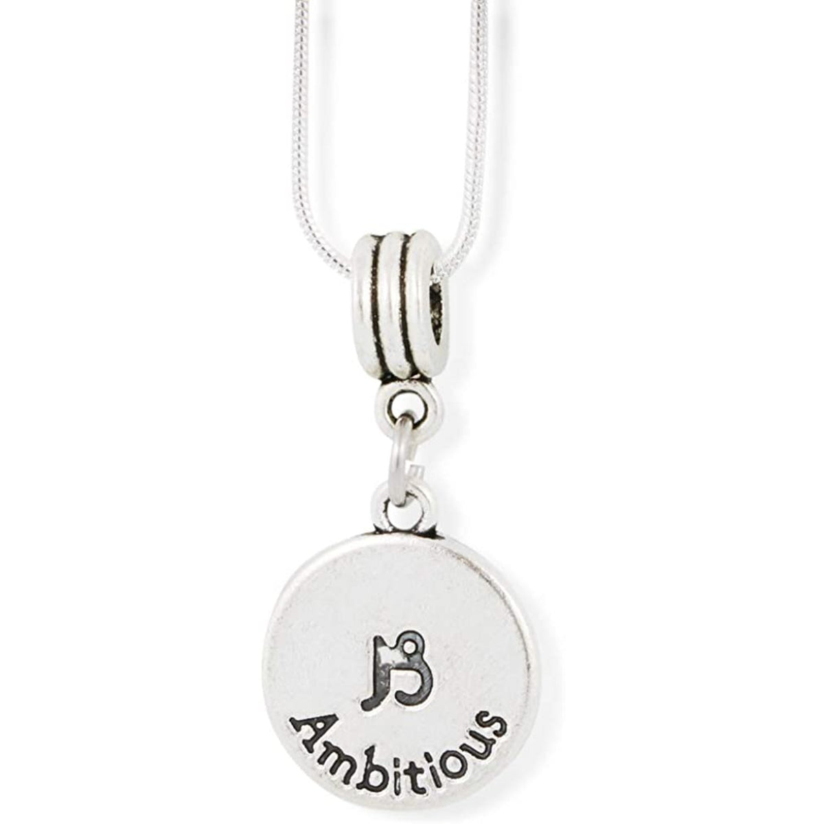 Capricorn Charm Necklace with Stainless Steel Snake Chain
