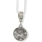 Pisces Zodiac Astrology Horoscope Charm Necklace