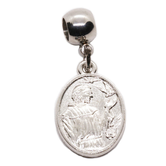 Saint Francis Charm - St Francis of Assisi Dog Tags for Pets - Stainless Steel Connector with Metal Alloy Charm St Francis of Assisi Pendant