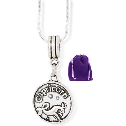 Capricorn Charm Necklace with Stainless Steel Snake Chain