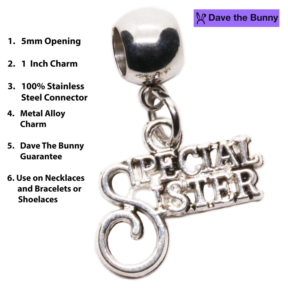 Special Sister Charm Necklace with Stainless Steel Snake Chain
