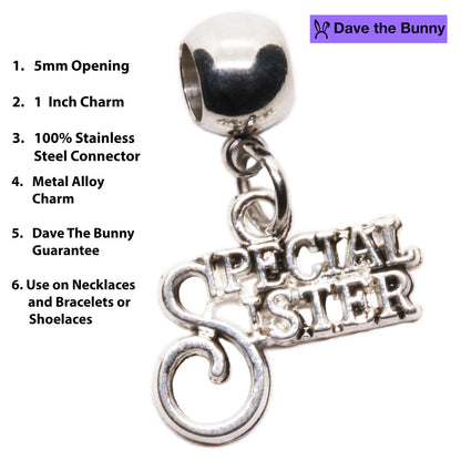 Special Sister Charm Necklace with Stainless Steel Snake Chain