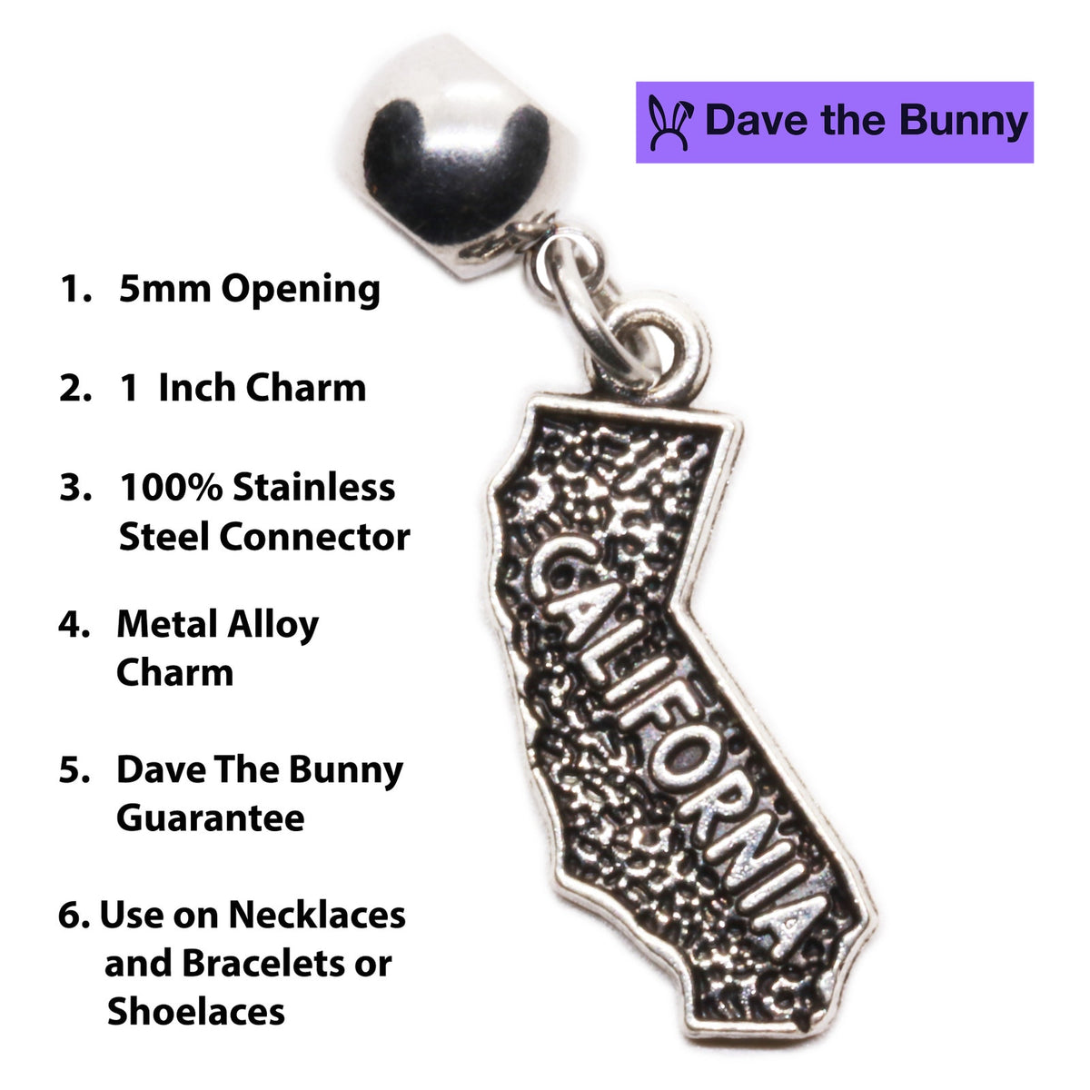 California Love Charm Necklace with Stainless Steel Snake Chain