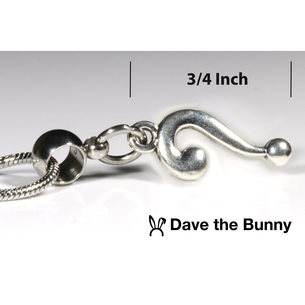 Question Mark Charm Necklace with Stainless Steel Snake Chain