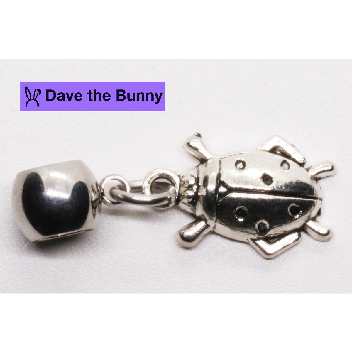 Ladybug Charm Necklace with Stainless Steel Snake Chain