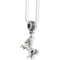 Horse Hind Legs Bushy Tail Charm Necklace