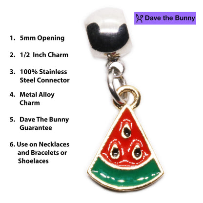 Watermelon Slice Charm Necklace with Stainless Steel Snake Chain