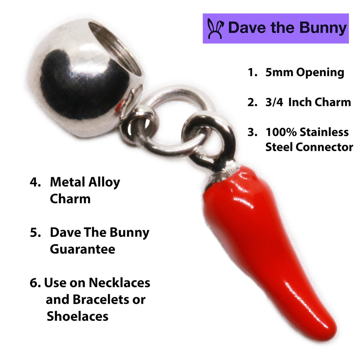 Red Pepper Charm Necklace with Stainless Steel Snake Chain
