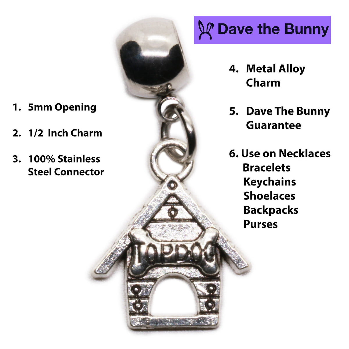 Top Dog House Charm Necklace with Stainless Steel Snake Chain