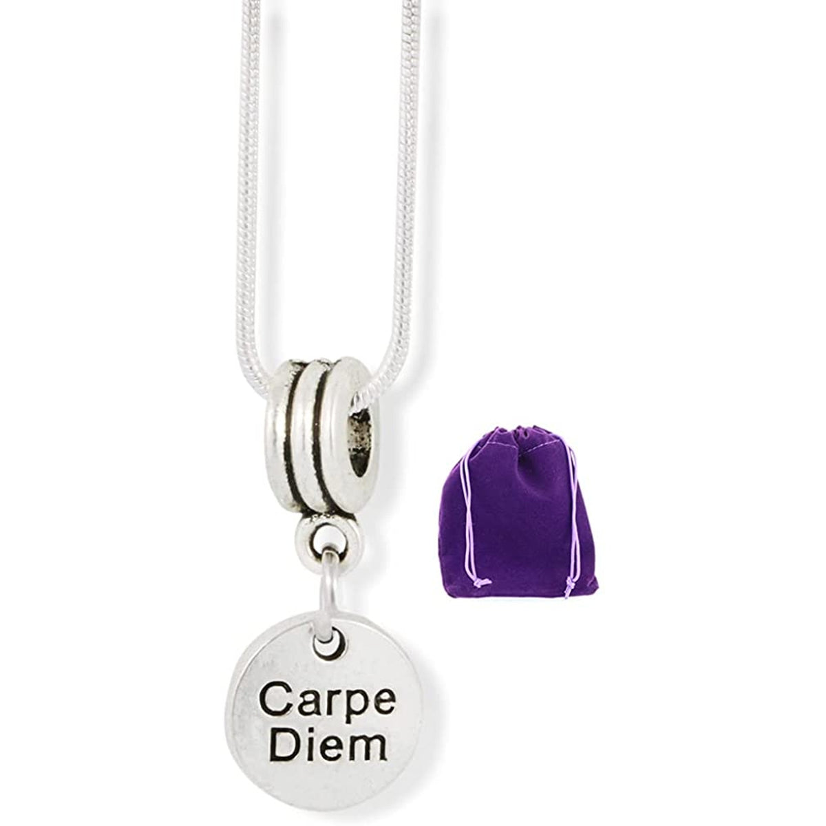 Carpe Diem Seize Day Charm Necklace with Stainless Steel Snake Chain