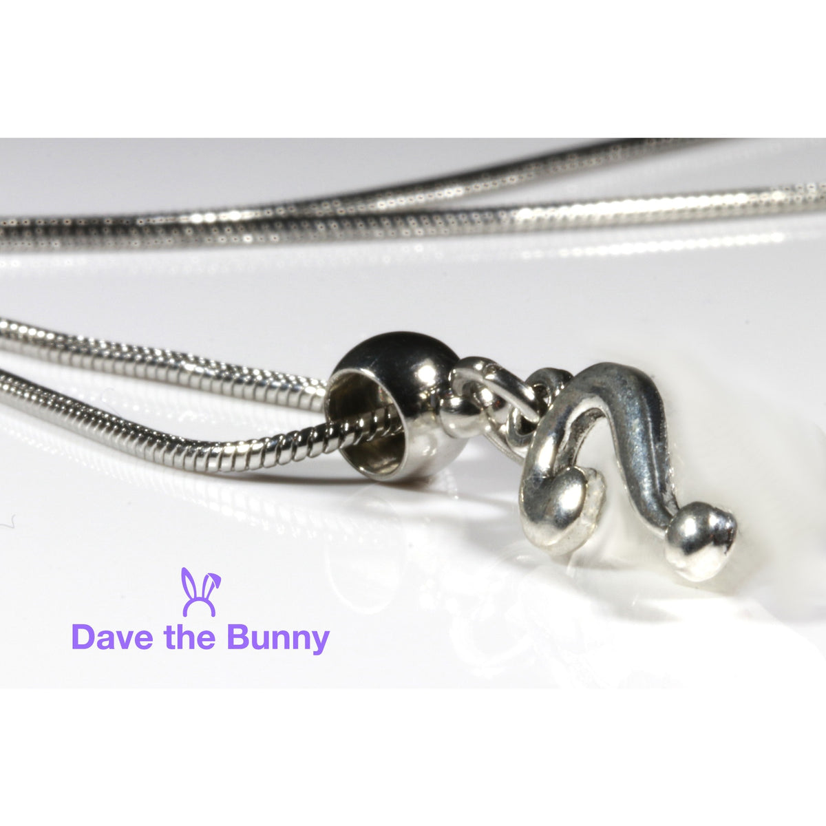 Question Mark Charm Necklace with Stainless Steel Snake Chain