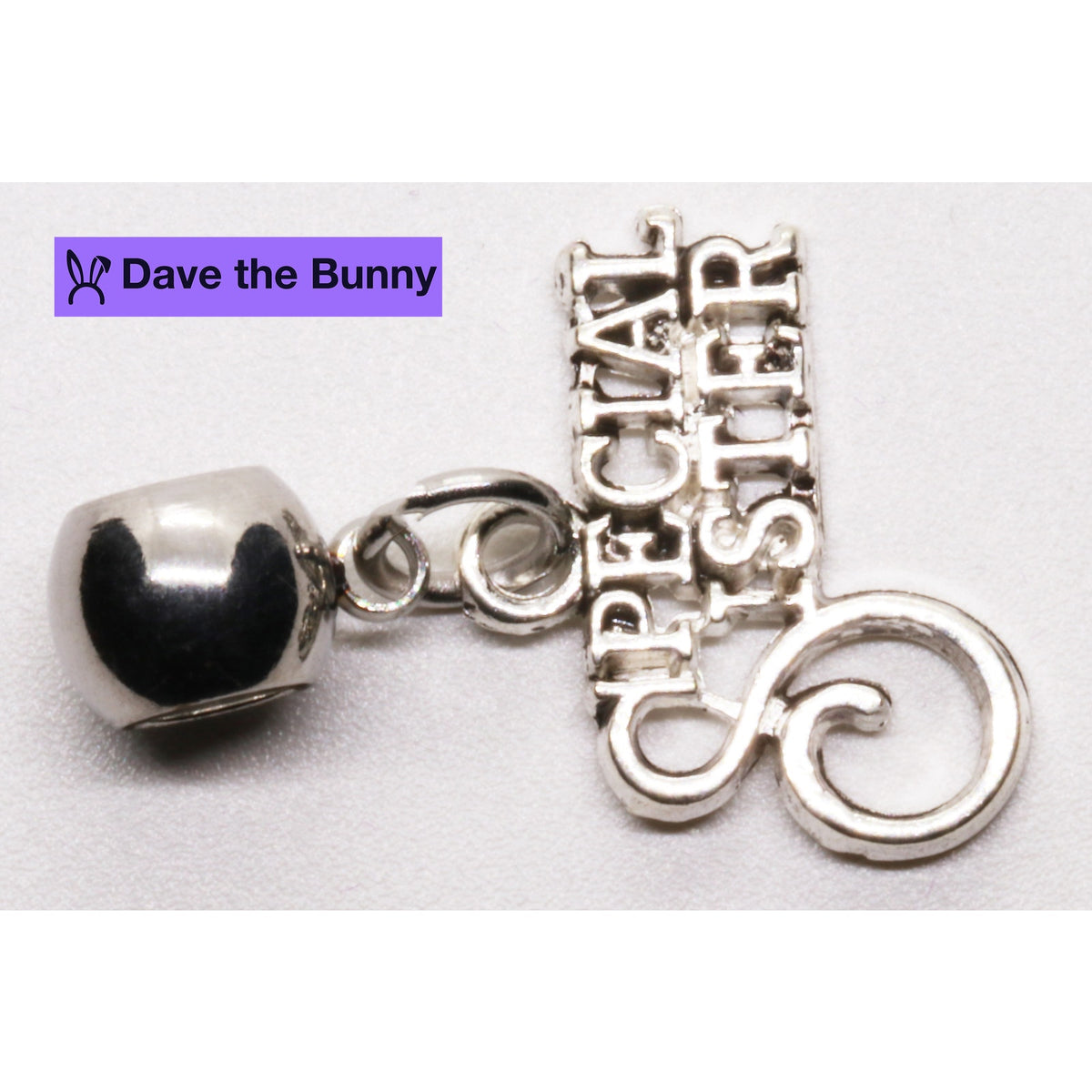 Special Sister Charm Necklace with Stainless Steel Snake Chain