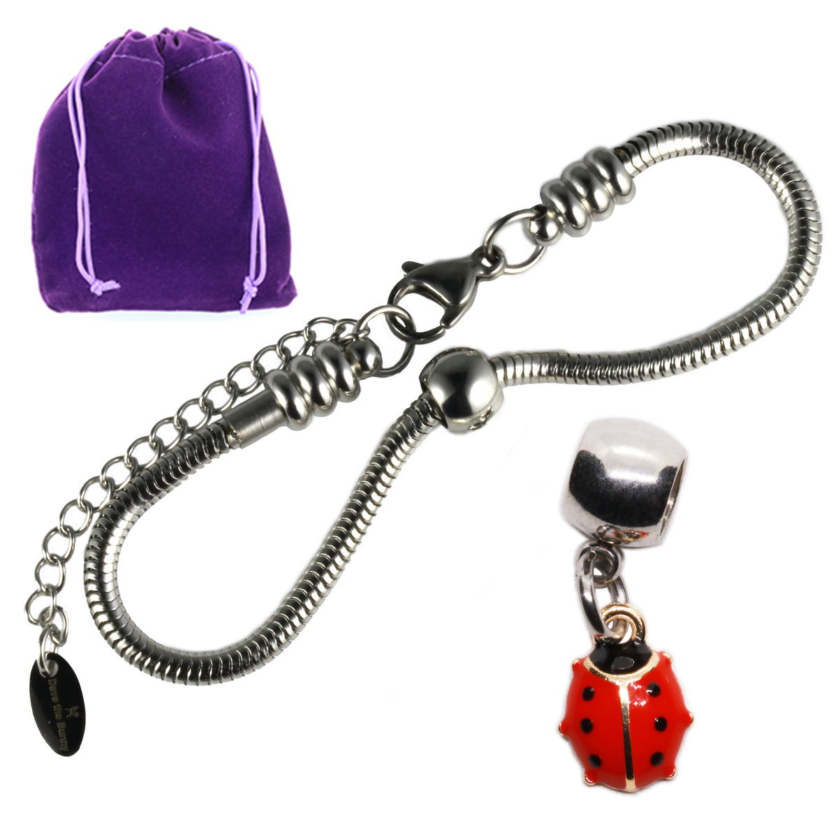 Ladybug Charm Bracelet with Stainless Steel Snake Chain