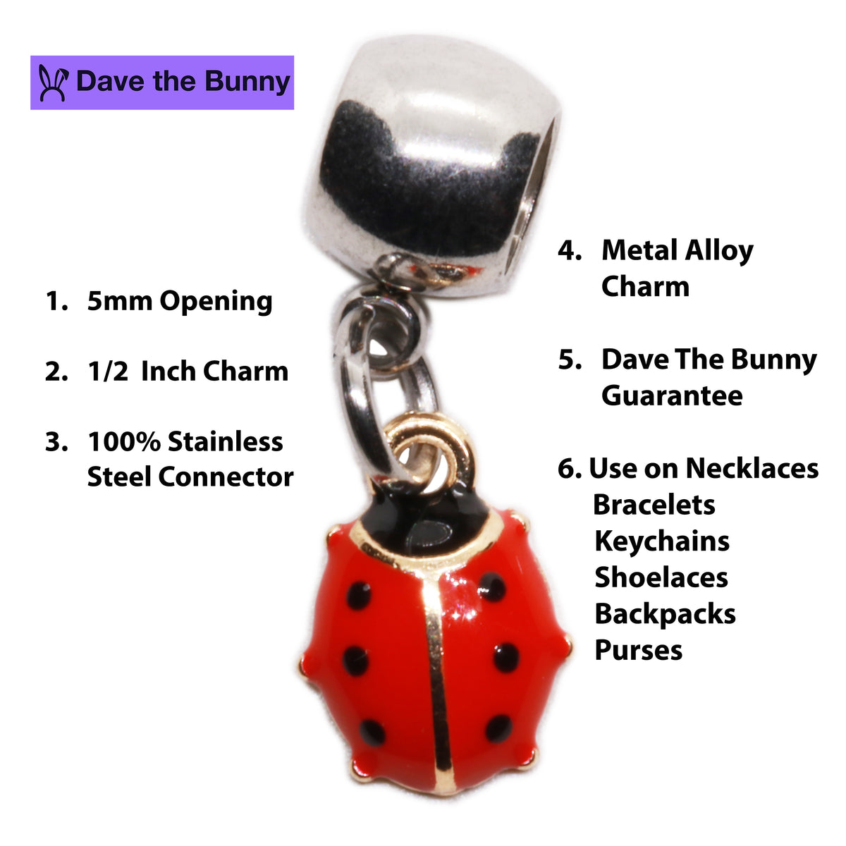 Ladybug Charm Bracelet with Stainless Steel Snake Chain