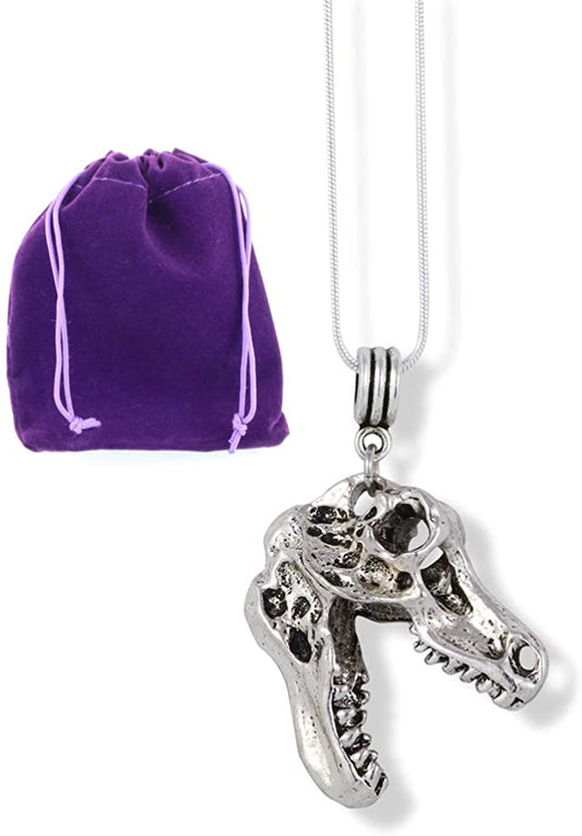 Dinosaur Gifts Necklace Pendant Jewelry Jewlry TRex T Rex Tyrannosaurus Tyrannosaur Teranosaurus Dinosaur Necklace Accessories Stuff Gift for Kids Men Women Boys Girls Decor Prehistoric Creature
