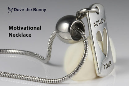 Dave The Bunny Follow Your Heart Necklace - An Inspirational Necklace Elegant Stainless Steel Snake Chain Best Friend Necklace with Alloy Charm, Perfect Friendship Necklace, Heart Necklace for Women