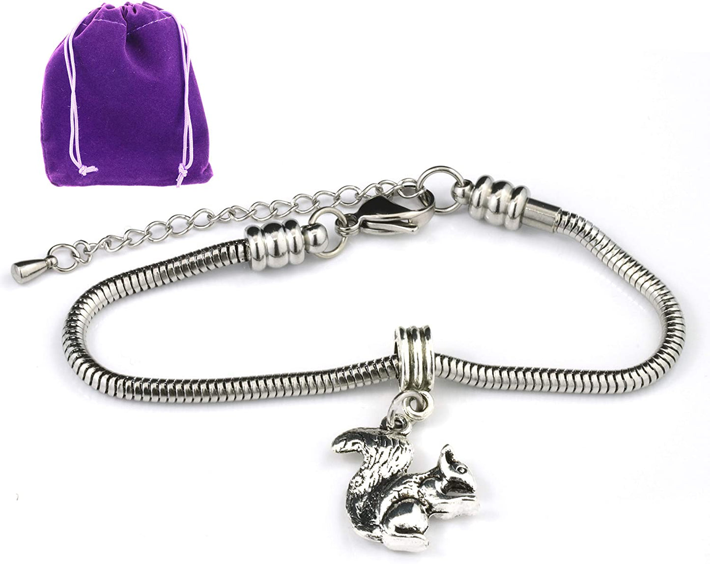 Squirrel Gifts | Gifts for Nature Lovers makes Great Science Jewelry for Lovers Bracelets or Animal Lover Gifts for Women Jewelry and Squirrel Gifts for Men or Squirrel Gifts for Squirrel Lovers