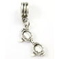 Eye Glasses Charm